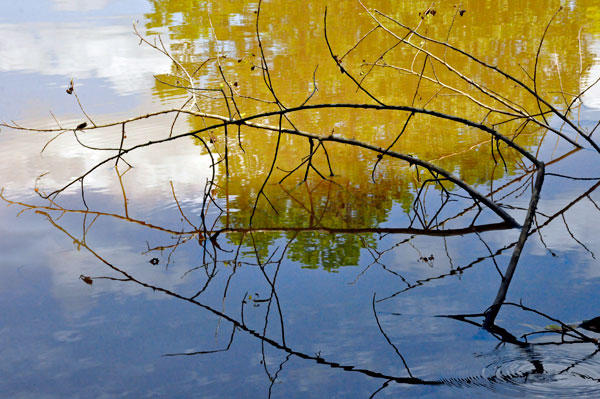 reflections by Karen Duquette